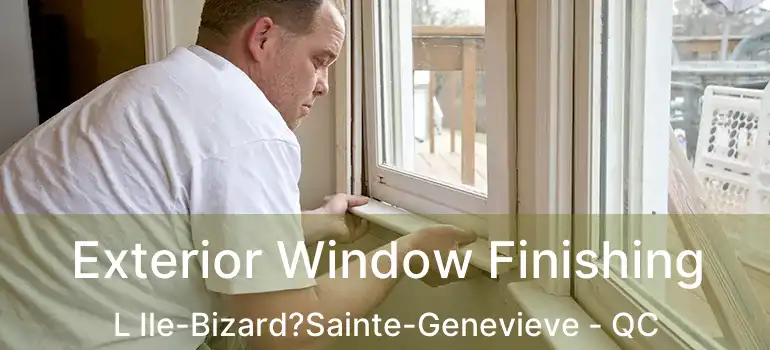  Exterior Window Finishing L Ile-Bizard?Sainte-Genevieve - QC