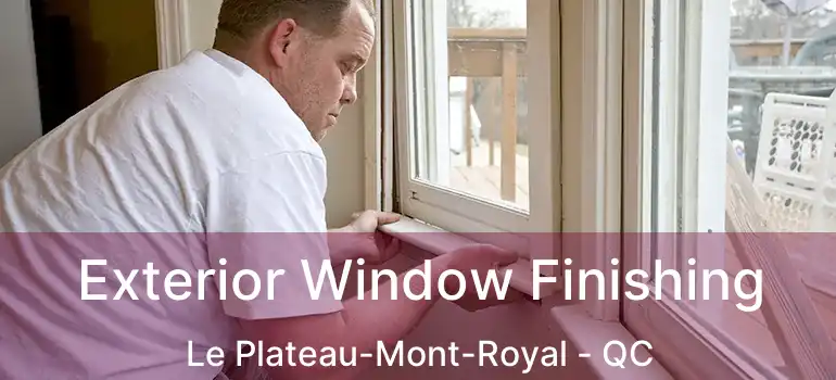  Exterior Window Finishing Le Plateau-Mont-Royal - QC