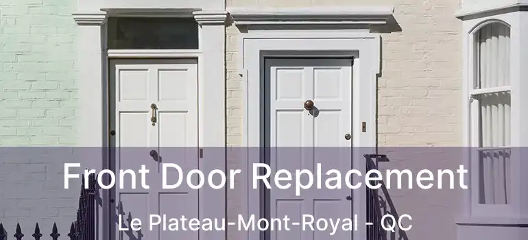  Front Door Replacement Le Plateau-Mont-Royal - QC