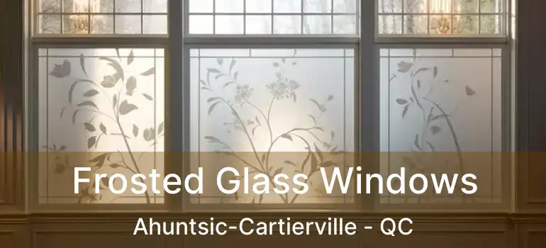  Frosted Glass Windows Ahuntsic-Cartierville - QC