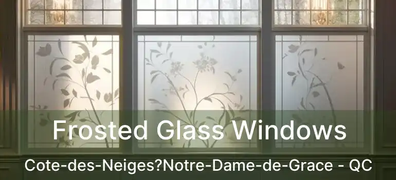  Frosted Glass Windows Cote-des-Neiges?Notre-Dame-de-Grace - QC