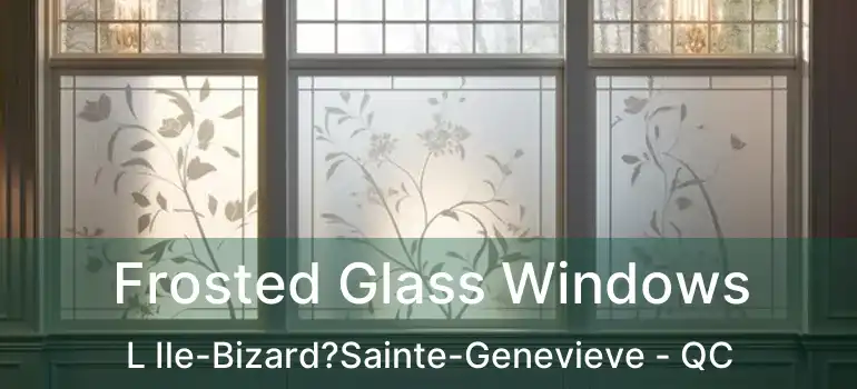  Frosted Glass Windows L Ile-Bizard?Sainte-Genevieve - QC