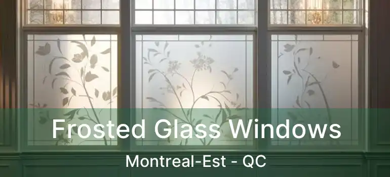  Frosted Glass Windows Montreal-Est - QC