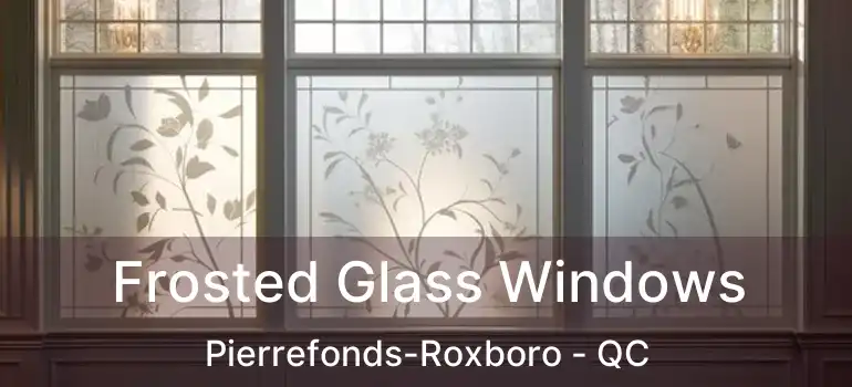  Frosted Glass Windows Pierrefonds-Roxboro - QC