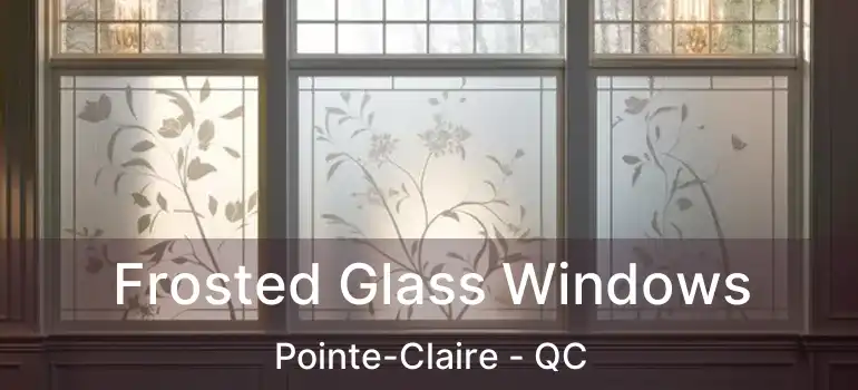  Frosted Glass Windows Pointe-Claire - QC