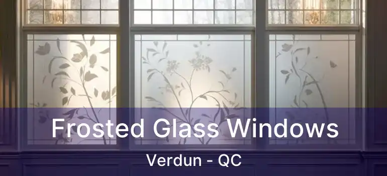  Frosted Glass Windows Verdun - QC