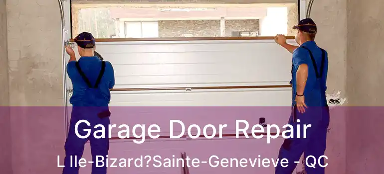  Garage Door Repair L Ile-Bizard?Sainte-Genevieve - QC