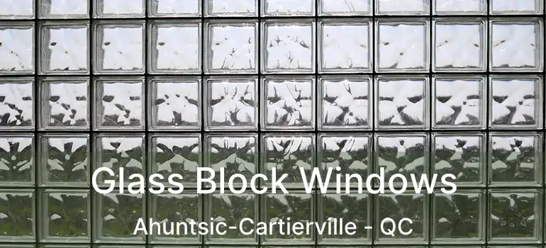  Glass Block Windows Ahuntsic-Cartierville - QC