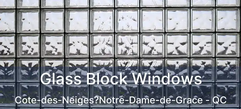  Glass Block Windows Cote-des-Neiges?Notre-Dame-de-Grace - QC