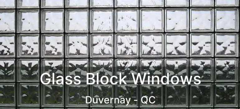  Glass Block Windows Duvernay - QC