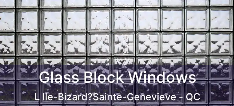  Glass Block Windows L Ile-Bizard?Sainte-Genevieve - QC