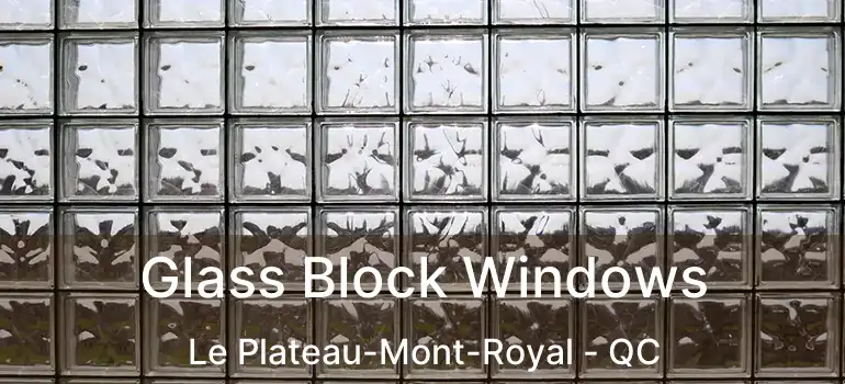  Glass Block Windows Le Plateau-Mont-Royal - QC