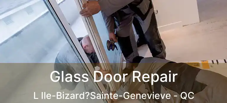  Glass Door Repair L Ile-Bizard?Sainte-Genevieve - QC