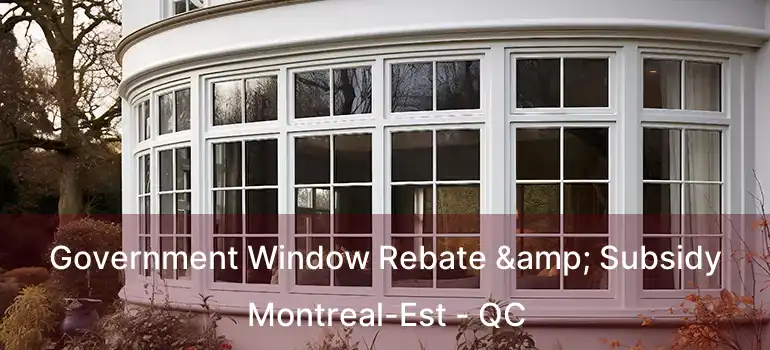  Government Window Rebate & Subsidy Montreal-Est - QC