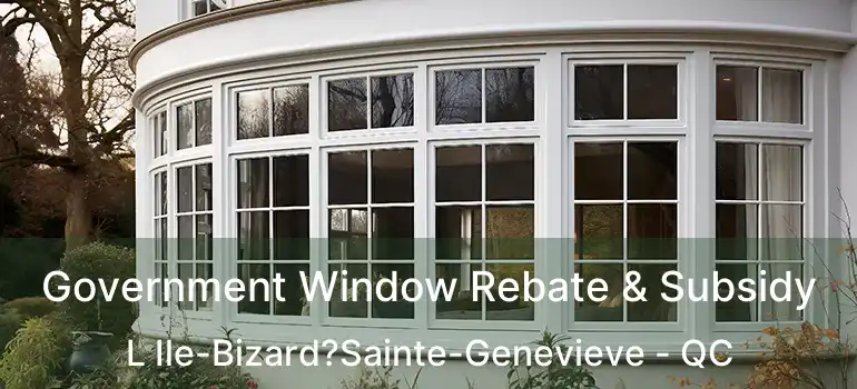  Government Window Rebate & Subsidy L Ile-Bizard?Sainte-Genevieve - QC