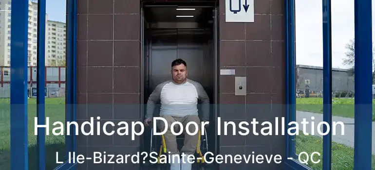  Handicap Door Installation L Ile-Bizard?Sainte-Genevieve - QC