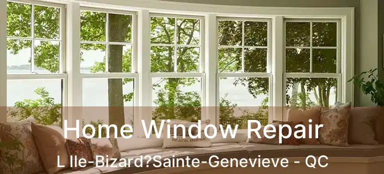 Home Window Repair L Ile-Bizard?Sainte-Genevieve - QC