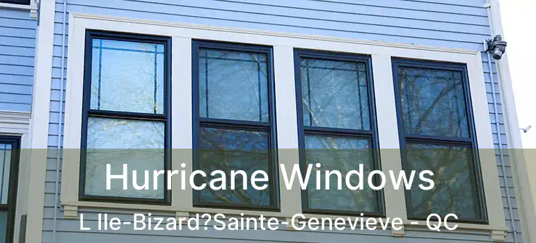  Hurricane Windows L Ile-Bizard?Sainte-Genevieve - QC