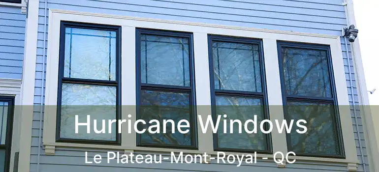  Hurricane Windows Le Plateau-Mont-Royal - QC