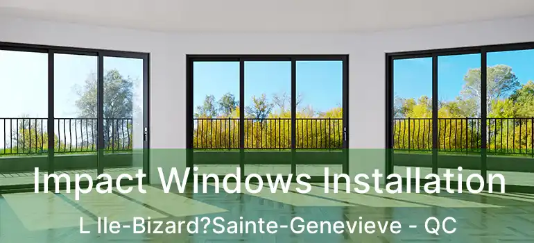 Impact Windows Installation L Ile-Bizard?Sainte-Genevieve - QC