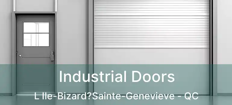  Industrial Doors L Ile-Bizard?Sainte-Genevieve - QC