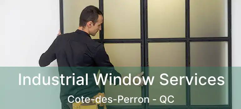  Industrial Window Services Cote-des-Perron - QC