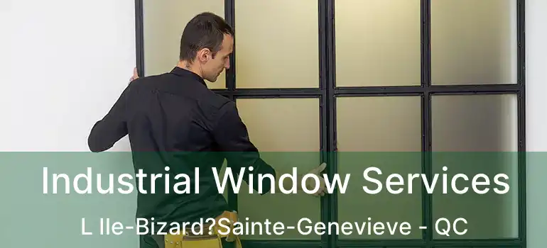  Industrial Window Services L Ile-Bizard?Sainte-Genevieve - QC