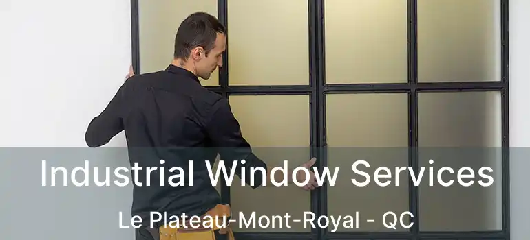  Industrial Window Services Le Plateau-Mont-Royal - QC