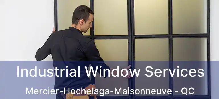  Industrial Window Services Mercier-Hochelaga-Maisonneuve - QC