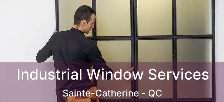  Industrial Window Services Sainte-Catherine - QC