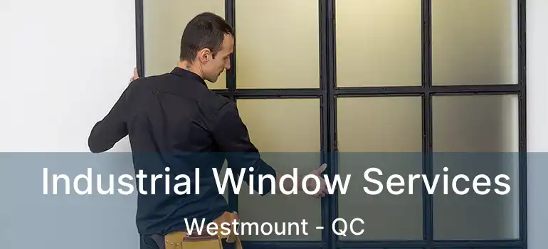 Industrial Window Services Westmount - QC