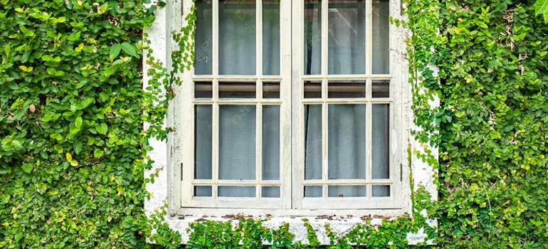 arden Window Repair Near Me in Montreal, QC
