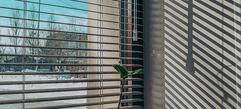 Commercial Window Blinds in Montreal, QC