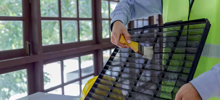 Traditional Window Grille Installation Options in Montreal, QC
