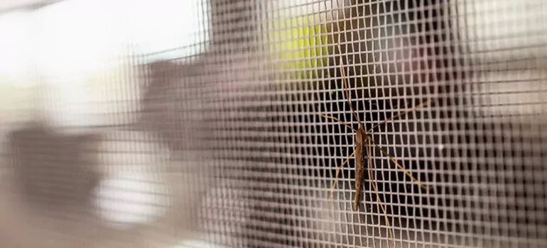 Repair Mosquito Mesh For Windows in Montreal, Quebec