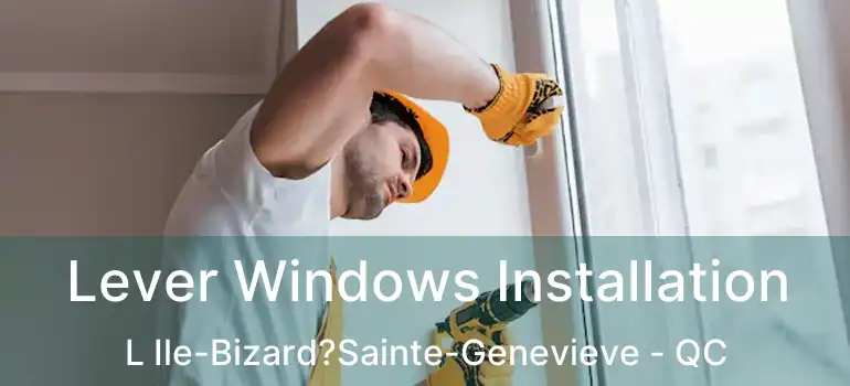  Lever Windows Installation L Ile-Bizard?Sainte-Genevieve - QC