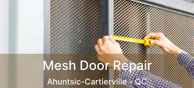  Mesh Door Repair Ahuntsic-Cartierville - QC