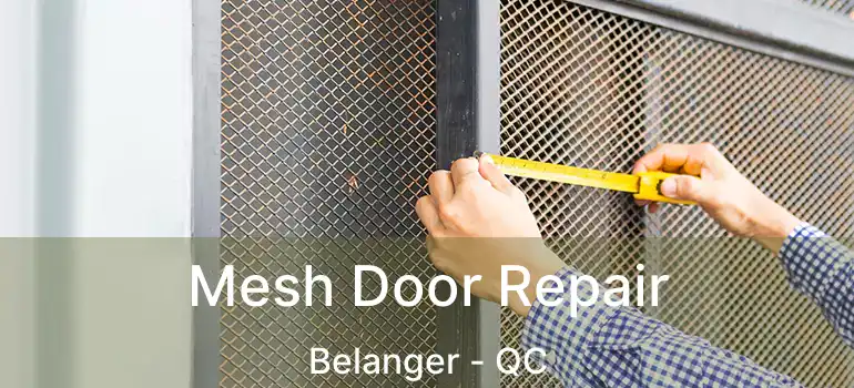  Mesh Door Repair Belanger - QC