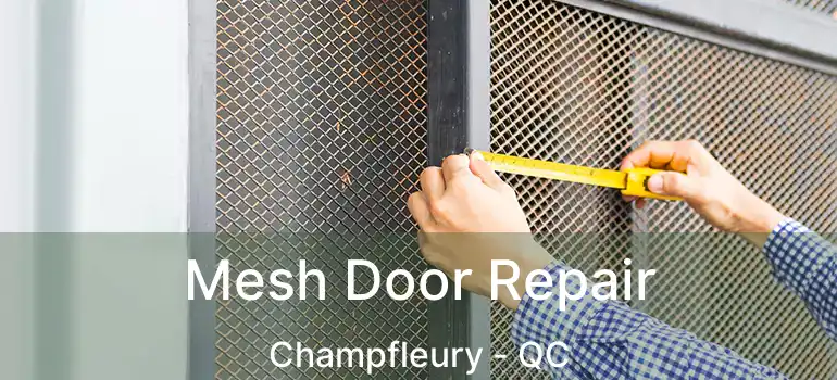  Mesh Door Repair Champfleury - QC