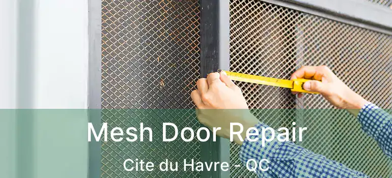  Mesh Door Repair Cite du Havre - QC