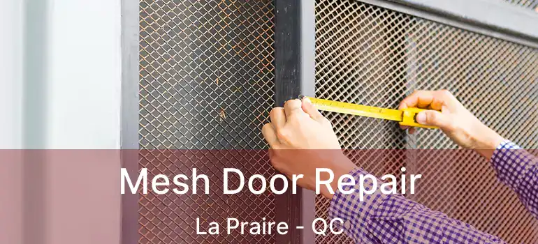  Mesh Door Repair La Praire - QC