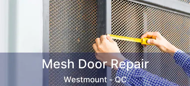  Mesh Door Repair Westmount - QC