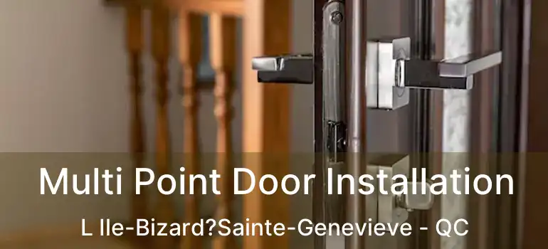  Multi Point Door Installation L Ile-Bizard?Sainte-Genevieve - QC