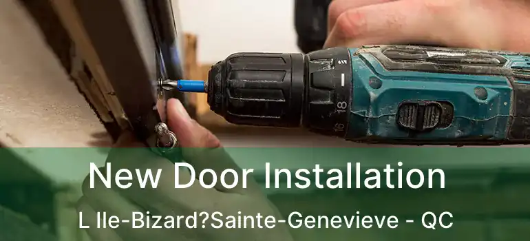  New Door Installation L Ile-Bizard?Sainte-Genevieve - QC