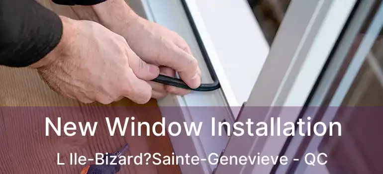  New Window Installation L Ile-Bizard?Sainte-Genevieve - QC