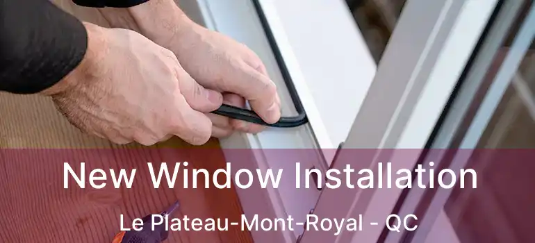  New Window Installation Le Plateau-Mont-Royal - QC