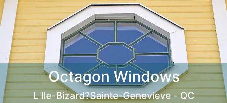  Octagon Windows L Ile-Bizard?Sainte-Genevieve - QC
