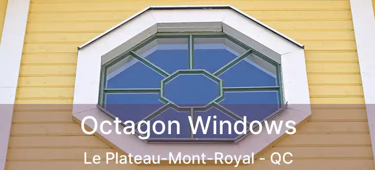  Octagon Windows Le Plateau-Mont-Royal - QC