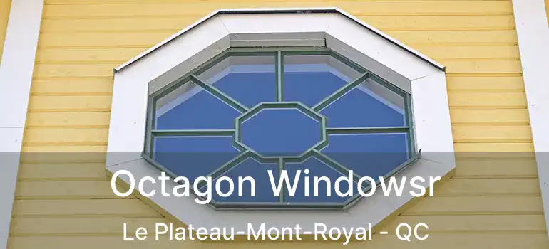  Octagon Windowsr Le Plateau-Mont-Royal - QC
