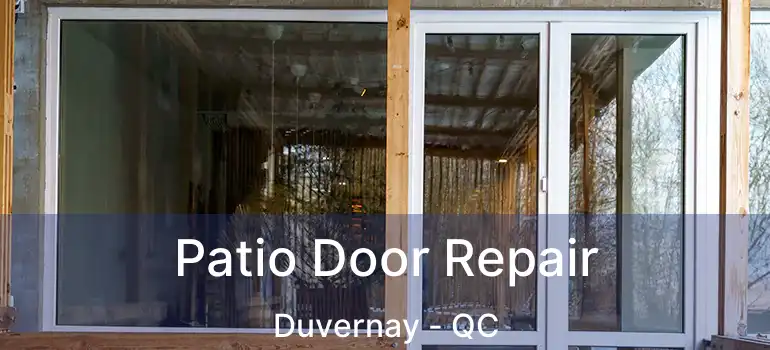  Patio Door Repair Duvernay - QC